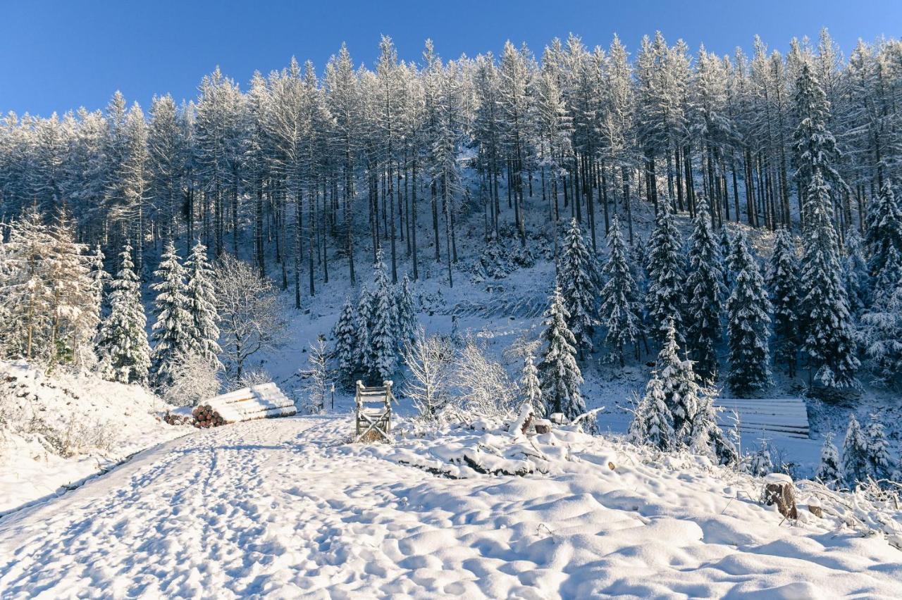 Tiny House Nature 12 - Green Tiny Village Harz Osterode am Harz 外观 照片